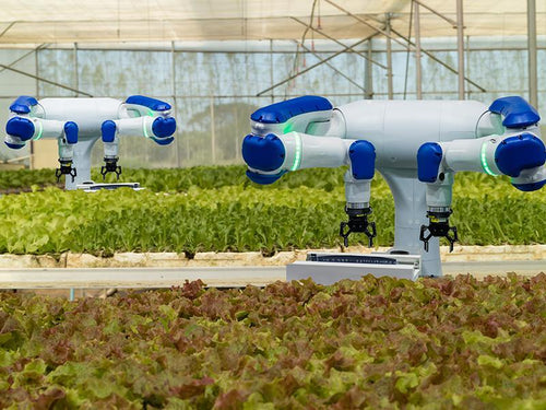 Cinco formas en que los robots agrícolas pueden reemplazar a los agricultores