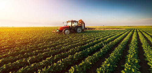 Automatización en la agricultura: nuevas soluciones a los desafíos eternos