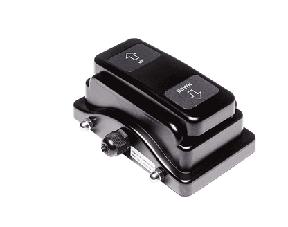 dual pedal foot switch